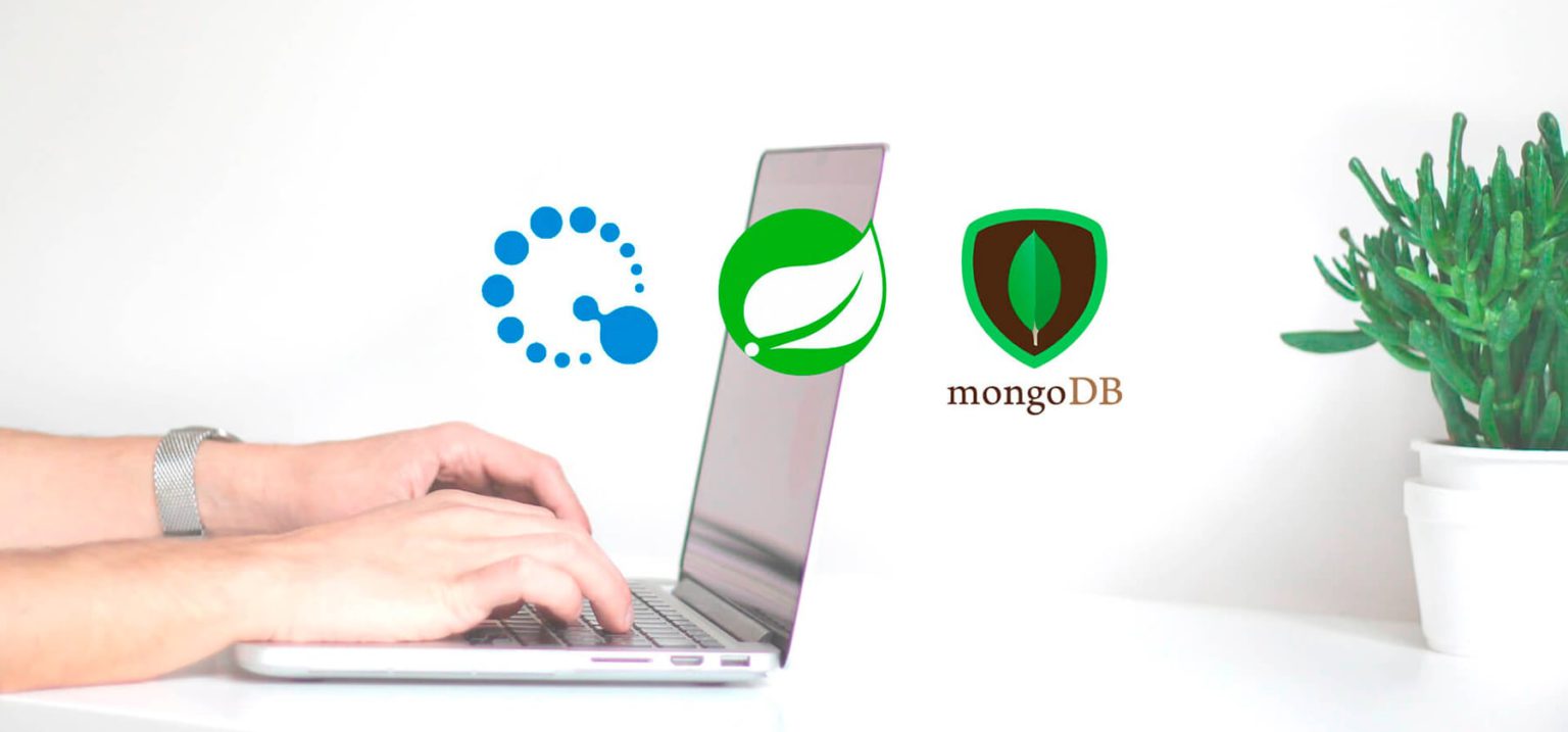 spring-data-reactive-mongodb-crud-example-vinsguru