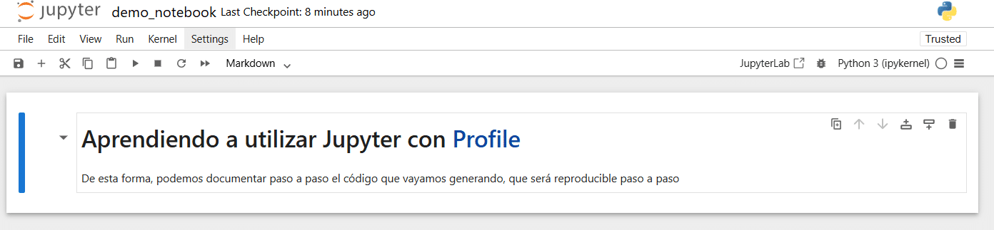 JupyterLab desde cero con Python - Profile Software Services